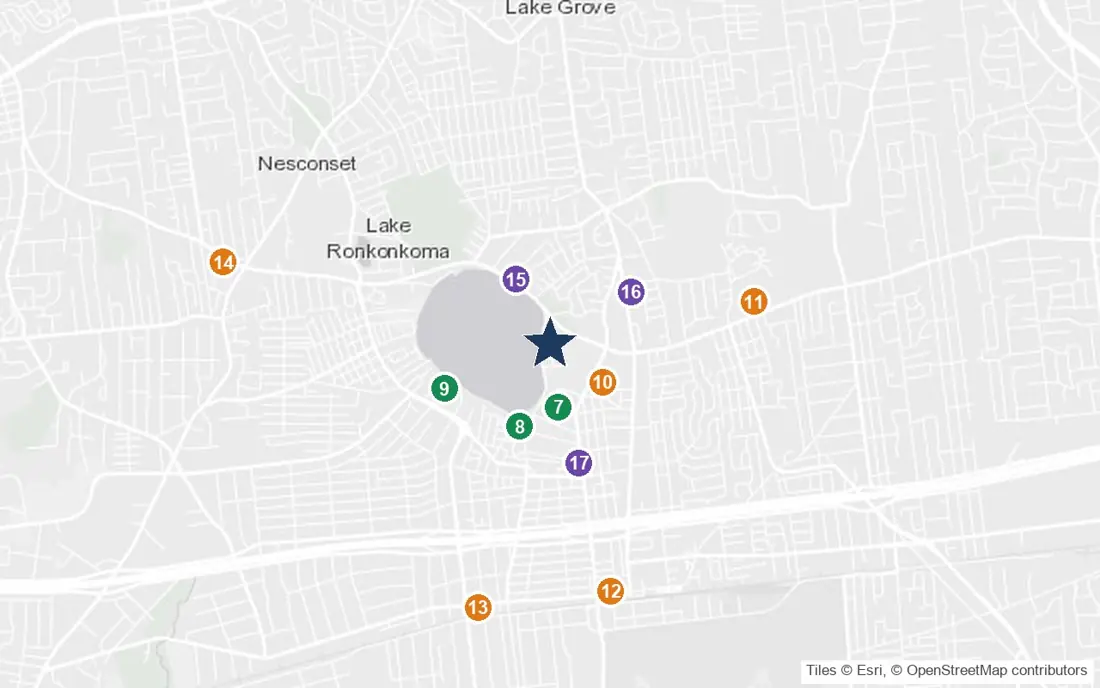 Close-up map of Amber Court on the Lake with nearby parks, shops, pharmacies and places of worship