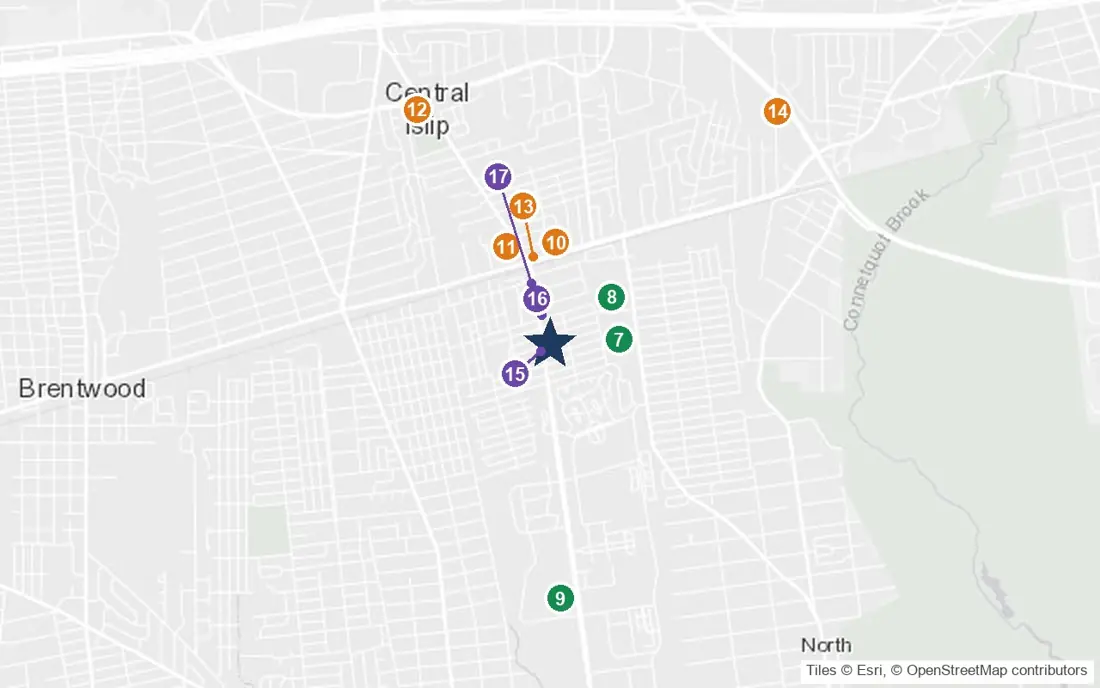 Close-up map of Elmore Home for Adults with nearby parks, shops, pharmacies and places of worship