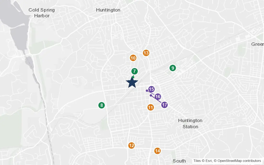 Close-up map of Manor Haven Adult Home with nearby parks, shops, pharmacies and places of worship