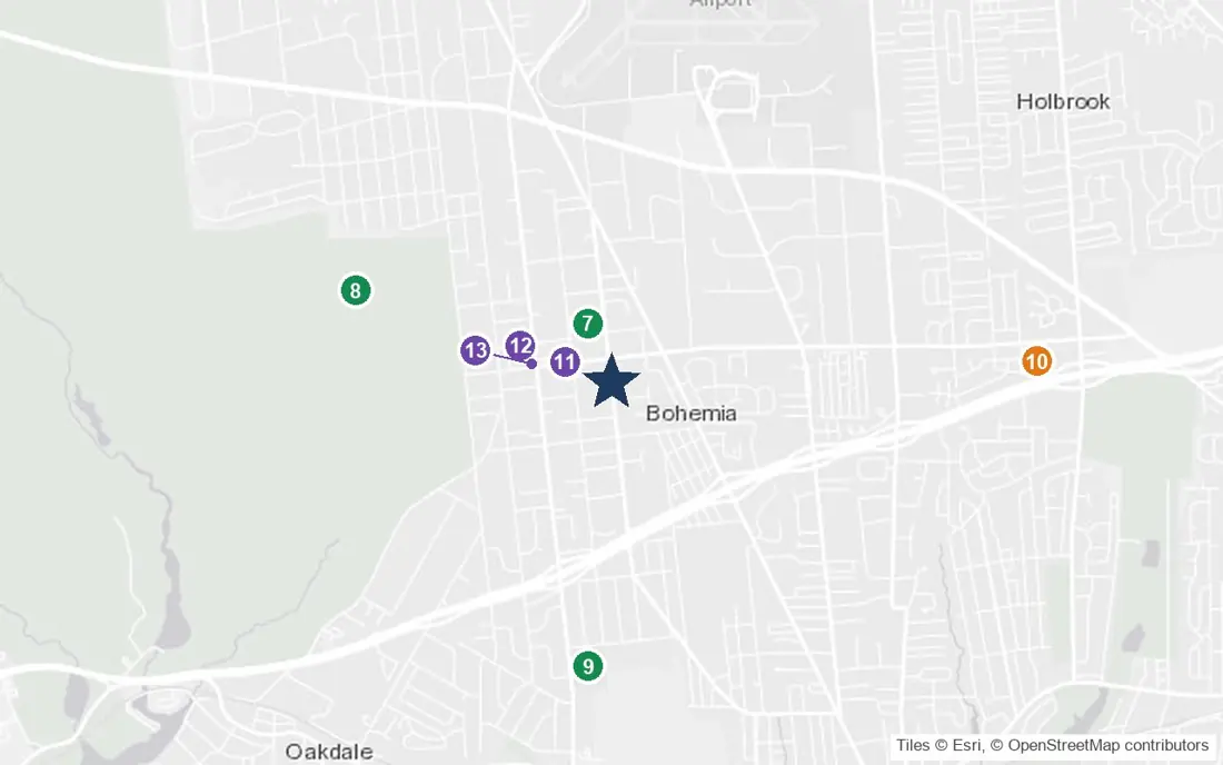 Close-up map of The Arbors at Bohemia with nearby parks, shops, pharmacies and places of worship