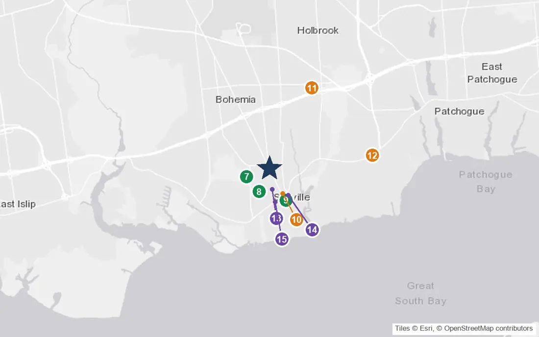 Close-up map of The Bristal at Sayville with nearby parks, shops, pharmacies and places of worship