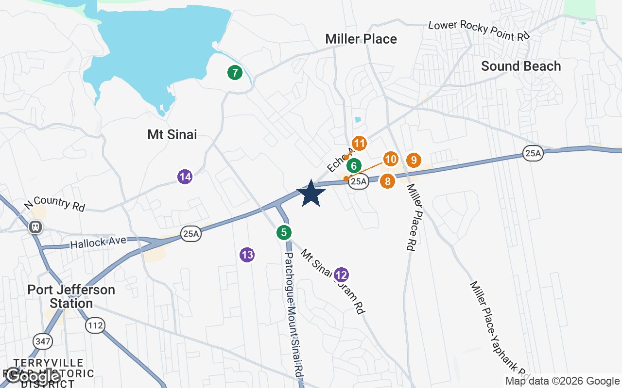 Close-up map of The Bristal Mt. Sinai with nearby parks, shops, pharmacies and places of worship