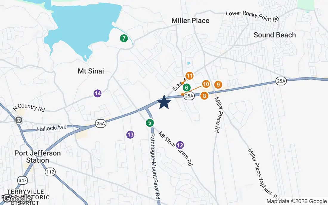 Close-up map of The Bristal Mt. Sinai with nearby parks, shops, pharmacies and places of worship
