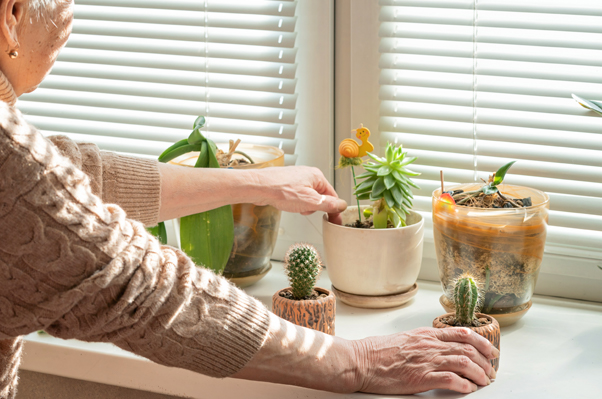What to Expect when Moving into a Senior Living Community